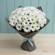 Букет цветов из:  Хризантемы в Байчурово