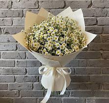 Букет цветов из:  Ромашки в Байчурово
