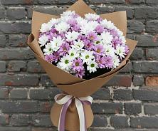 Букет цветов из:  Хризантемы #REPLACE_PRED# Байчурово